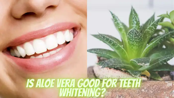 Is Aloe Vera Good for Teeth Whitening